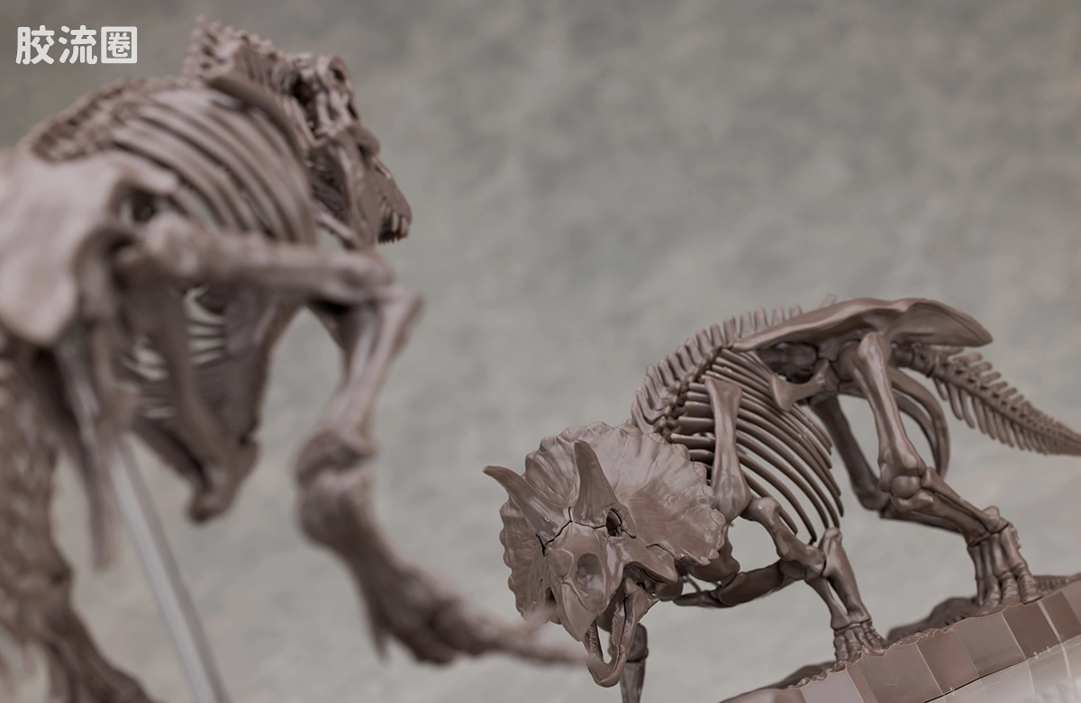 万代综合拼装模型系列 Imaginary Skeleton系列 三角龙 - 图片